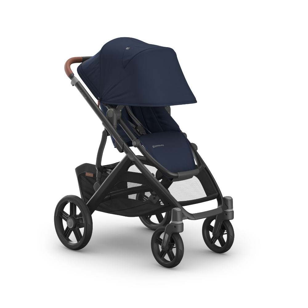 Dječja kolica UPPAbaby Vista V3 2u1